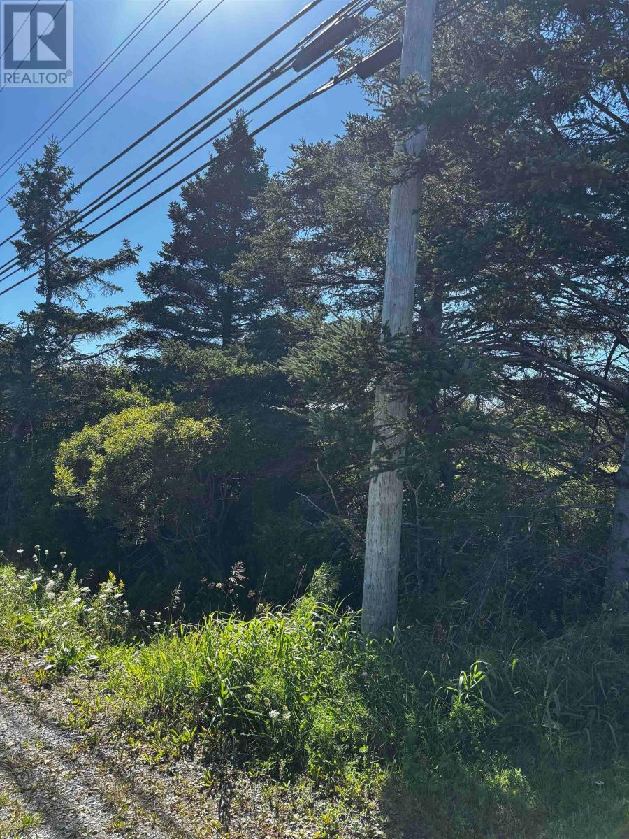 Lot 3 No 207 Highway, Grand Desert, Nova Scotia  B0J 2L0 - Photo 6 - 202623850