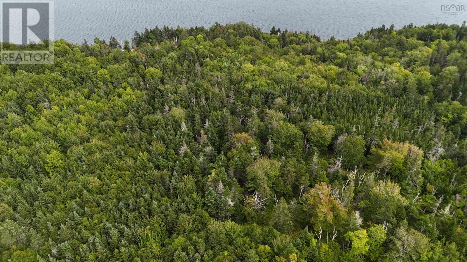 Lot 3 Marine Dr., Steep Creek, Nova Scotia  B0E 2G0 - Photo 7 - 202623854