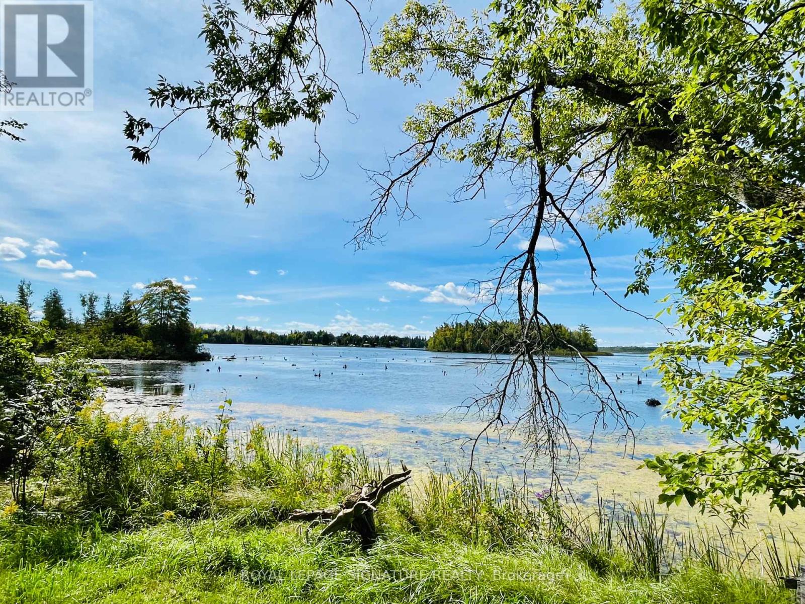 32 Hargrave Road, Kawartha Lakes, Ontario  K0M 2B0 - Photo 21 - X13780482