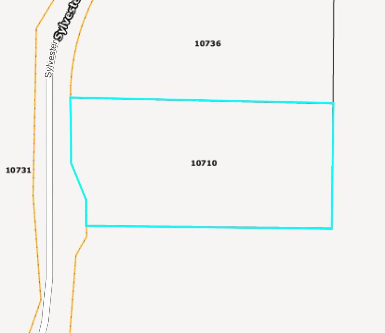 10710 SYLVESTER ROAD photo 38