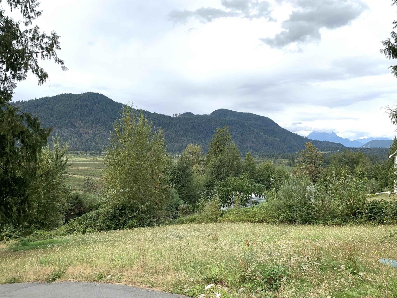 10710 SYLVESTER ROAD photo 6