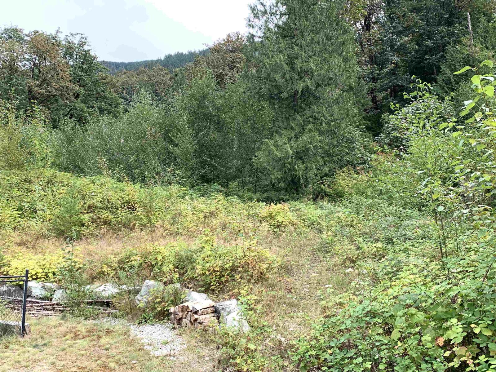 10710 SYLVESTER ROAD photo 9
