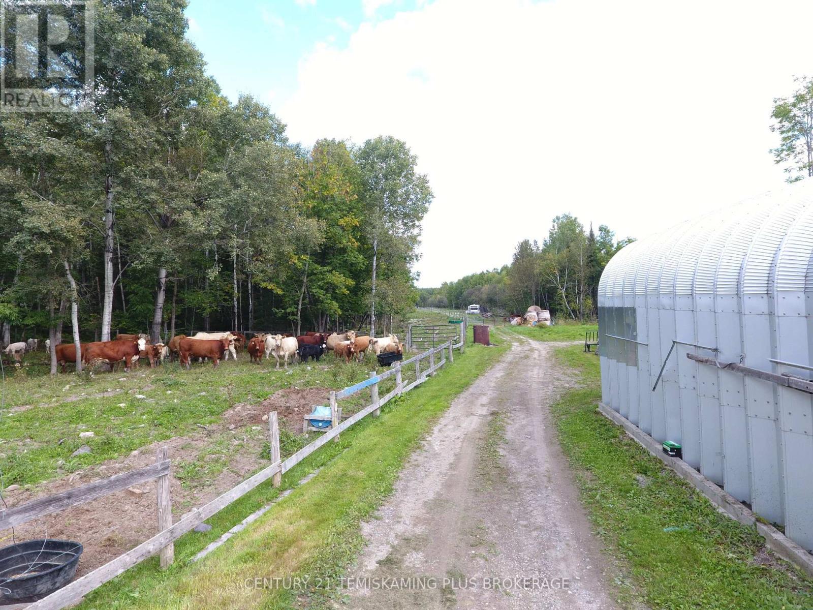 257039 Hillview Road, Timiskaming, Ontario  P0J 1P0 - Photo 7 - T13806458