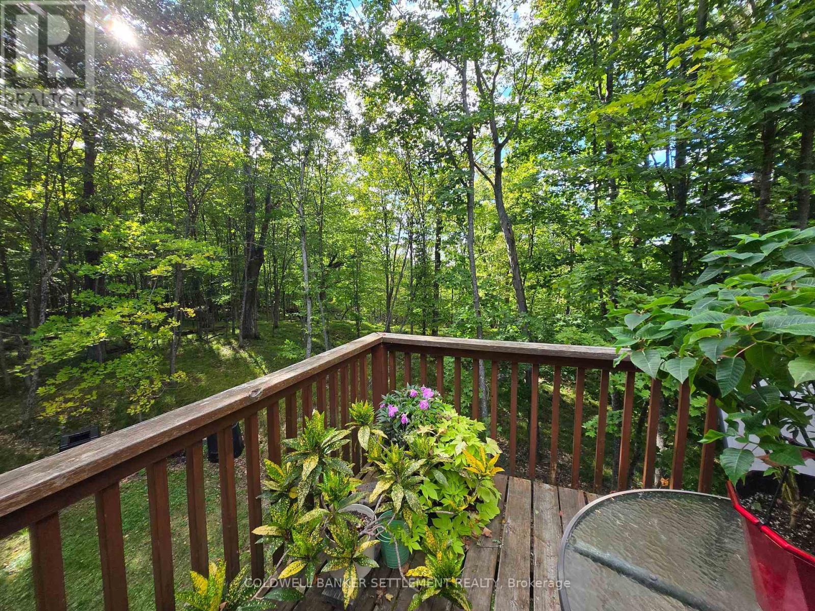 254 Lakewood Road, Tay Valley, Ontario  K7H 0C7 - Photo 37 - X13798584