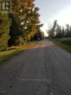 30 Beach Road, Kawartha Lakes, Ontario  K0M 2C0 - Photo 6 - X13806472