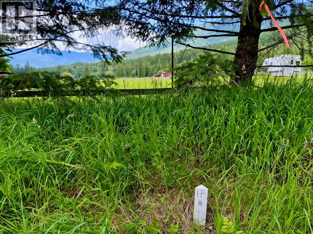 Mckinnon Road Lot# C, Procter, British Columbia  V0G 1V0 - Photo 11 - 10392048