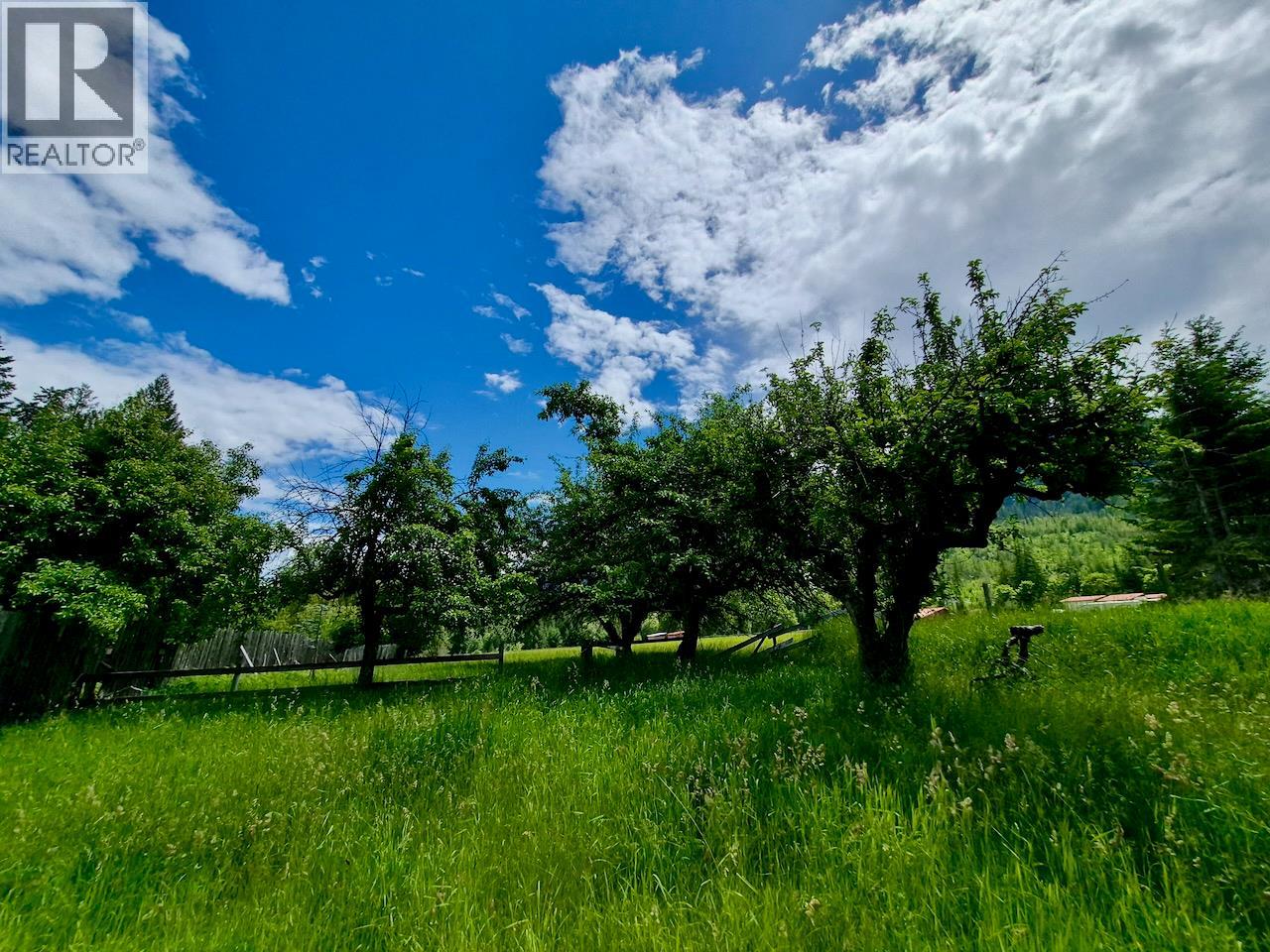 Mckinnon Road Lot# C, Procter, British Columbia  V0G 1V0 - Photo 23 - 10392048