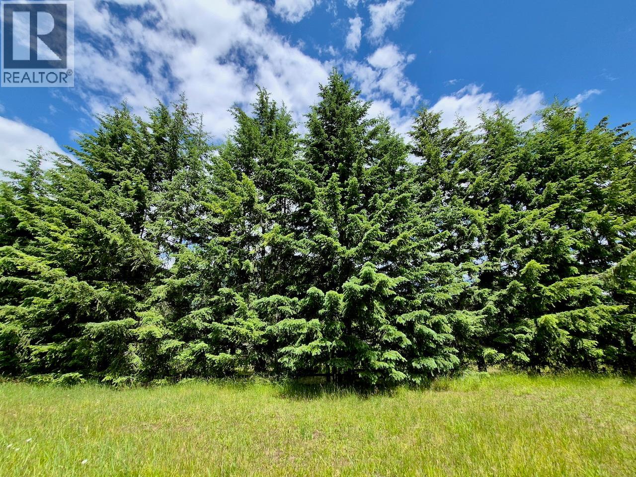 Mckinnon Road Lot# C, Procter, British Columbia  V0G 1V0 - Photo 21 - 10392048
