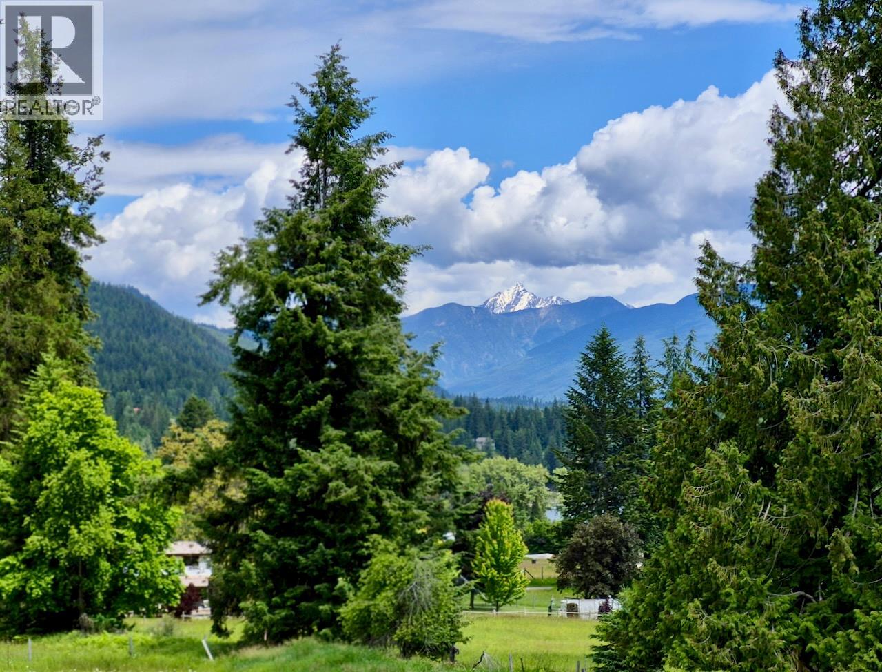 Mckinnon Road Lot# C, Procter, British Columbia  V0G 1V0 - Photo 27 - 10392048