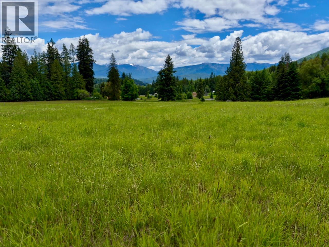 Mckinnon Road Lot# C, Procter, British Columbia  V0G 1V0 - Photo 30 - 10392048