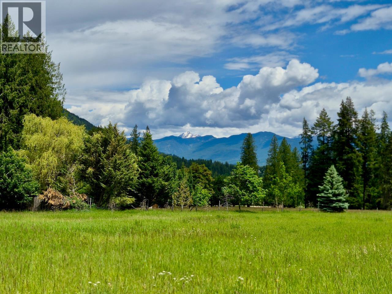 Mckinnon Road Lot# C, Procter, British Columbia  V0G 1V0 - Photo 39 - 10392048