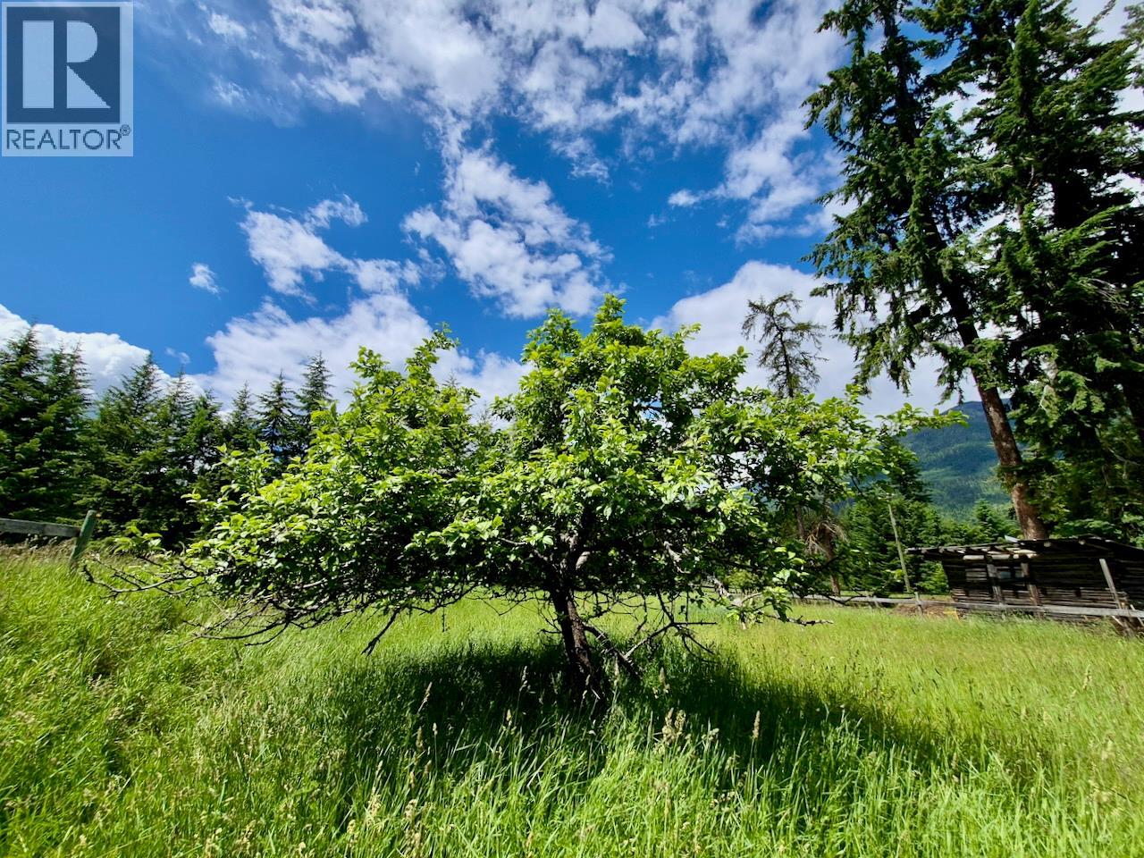 Mckinnon Road Lot# C, Procter, British Columbia  V0G 1V0 - Photo 24 - 10392048