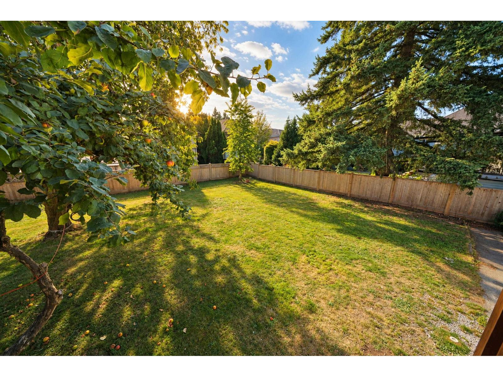 14490 106a Avenue, Surrey, British Columbia  V3R 1T4 - Photo 3 - R3166896