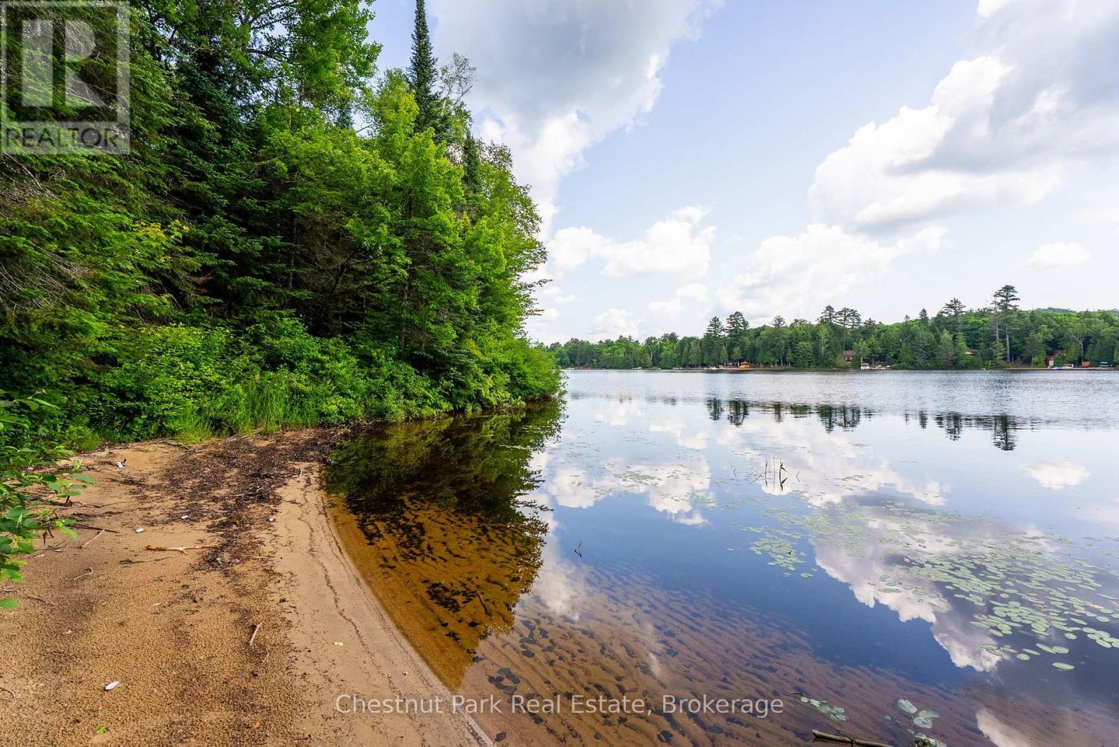 1136 Severn Lane, Algonquin Highlands, Ontario  P0A 1E0 - Photo 5 - X13806958