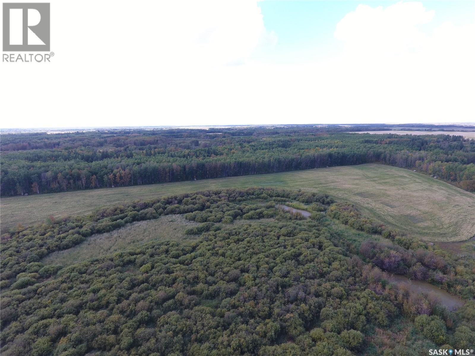 Erickson Land Section 12, Barrier Valley Rm No. 397, Saskatchewan  S0E 0B0 - Photo 8 - SK048935