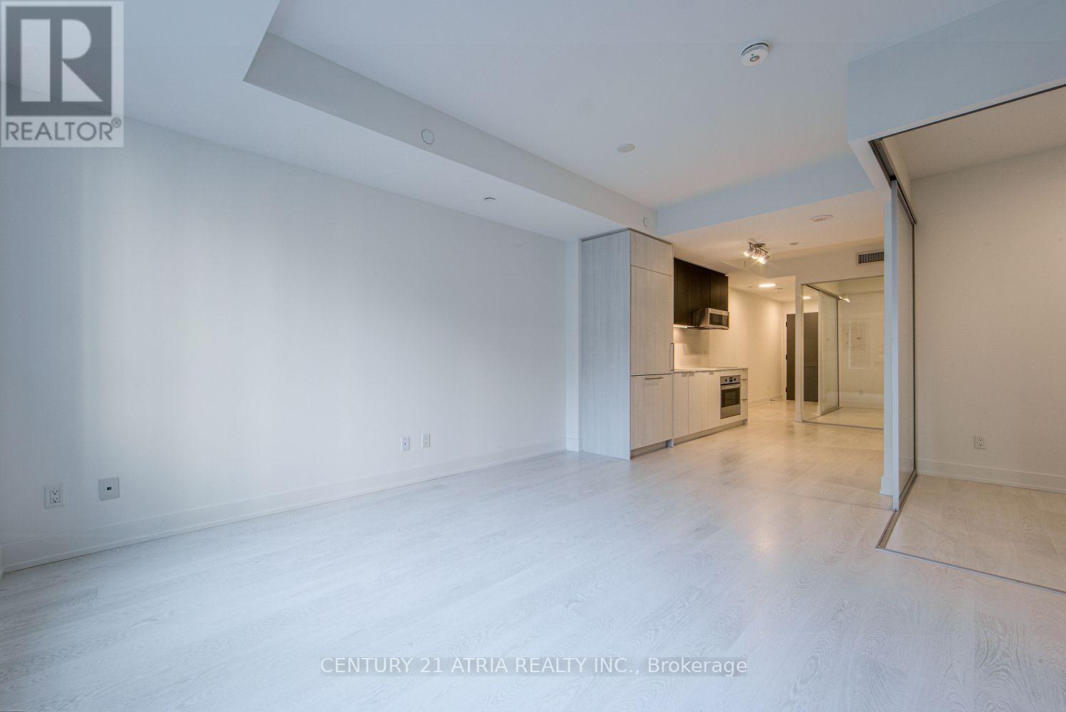 205 - 308 Jarvis Street, Toronto, Ontario  M5A 2P2 - Photo 9 - C13803062