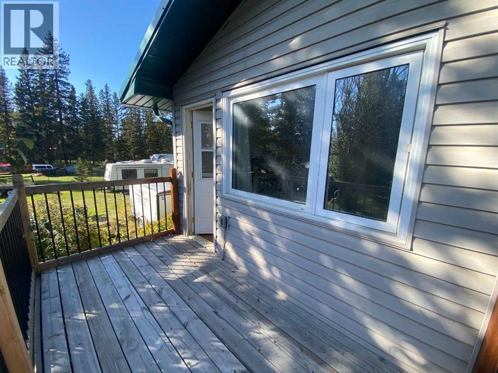 987 1 Avenue NE, Sundre, Alberta  T0M 1X0 - Photo 25 - A2344461