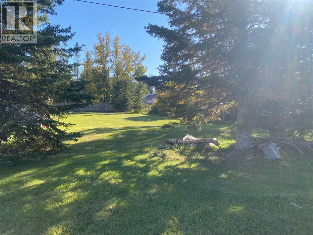 987 1 Avenue NE, Sundre, Alberta  T0M 1X0 - Photo 49 - A2344461