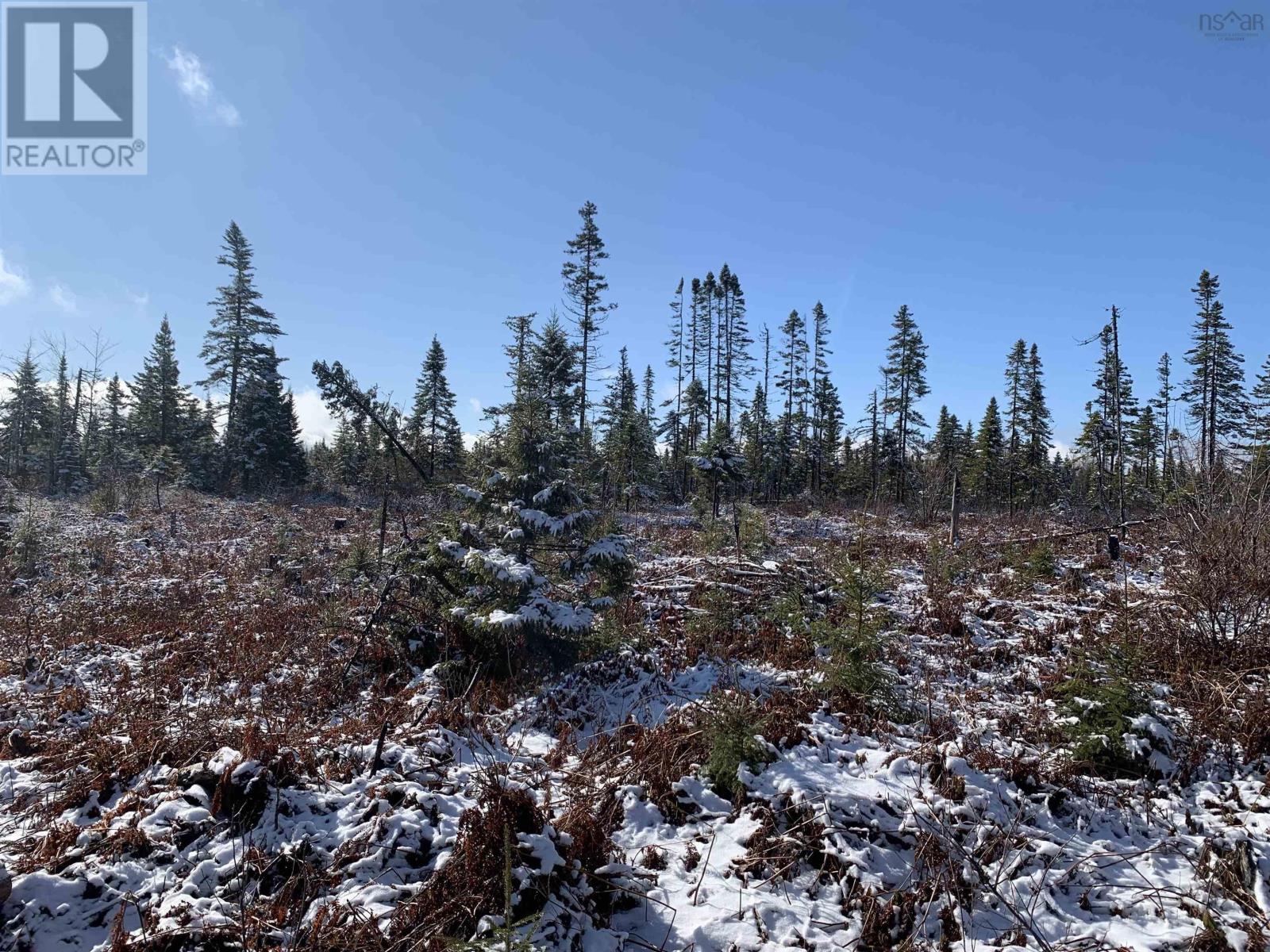 Lot 00 Palmer Road, Wentworth Valley Preserve, Wentworth Valley, Nova Scotia  B0M 1Z0 - Photo 8 - 202617055
