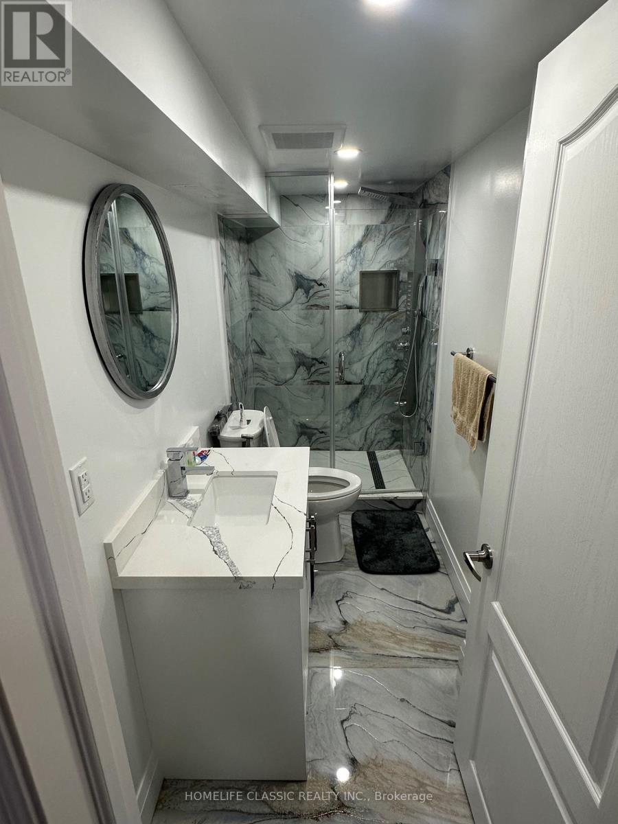 Bsmnt - 658 Grand Trunk Avenue, Vaughan, Ontario  L6A 0R3 - Photo 13 - N13807310