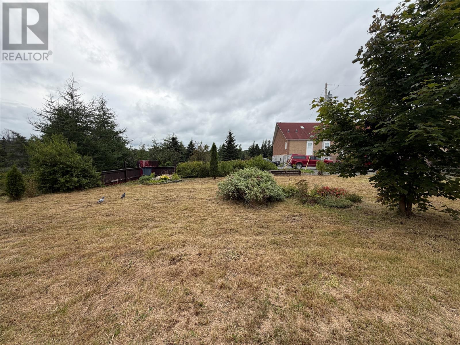 30 Highway East Highway, Victoria, Newfoundland & Labrador  A0A 4G0 - Photo 37 - 1302720