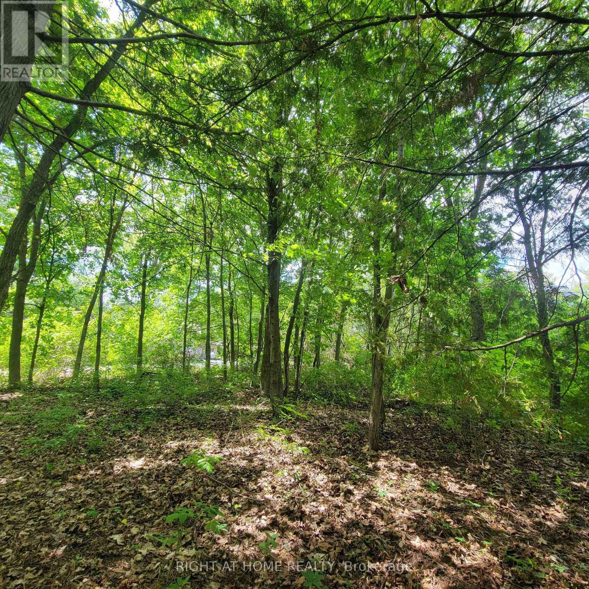 7 Beckenham Lane, Ottawa, Ontario  K1J 7J4 - Photo 10 - X13807486