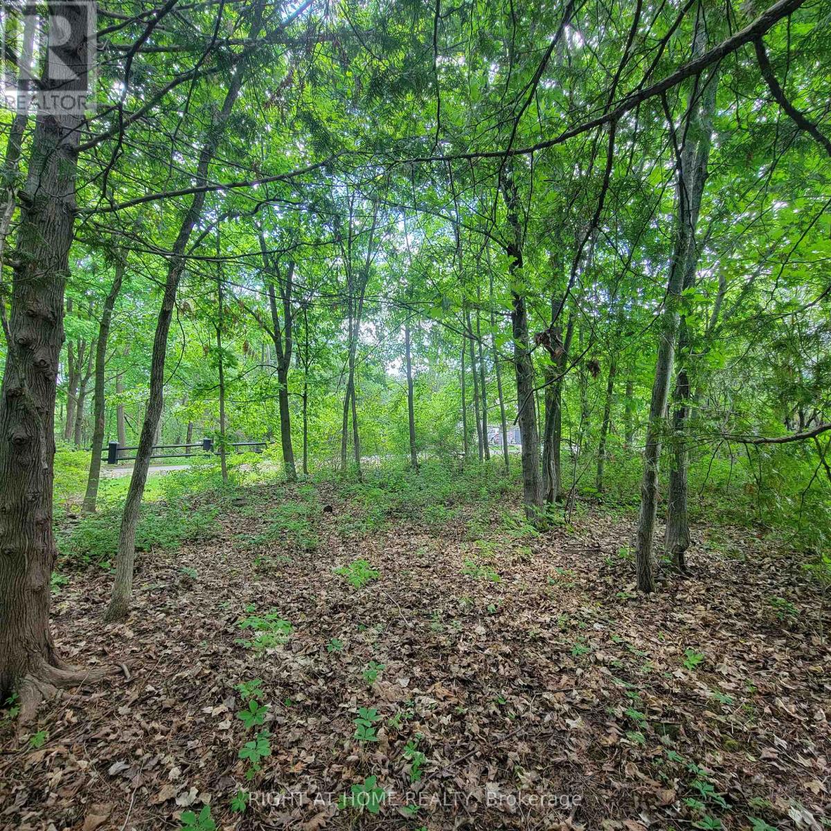 7 Beckenham Lane, Ottawa, Ontario  K1J 7J4 - Photo 5 - X13807486