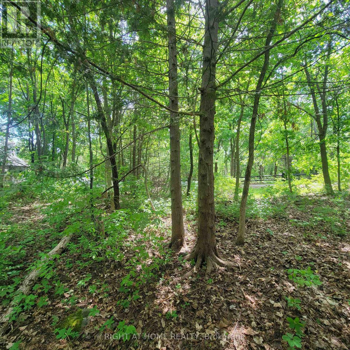 7 Beckenham Lane, Ottawa, Ontario  K1J 7J4 - Photo 6 - X13807486