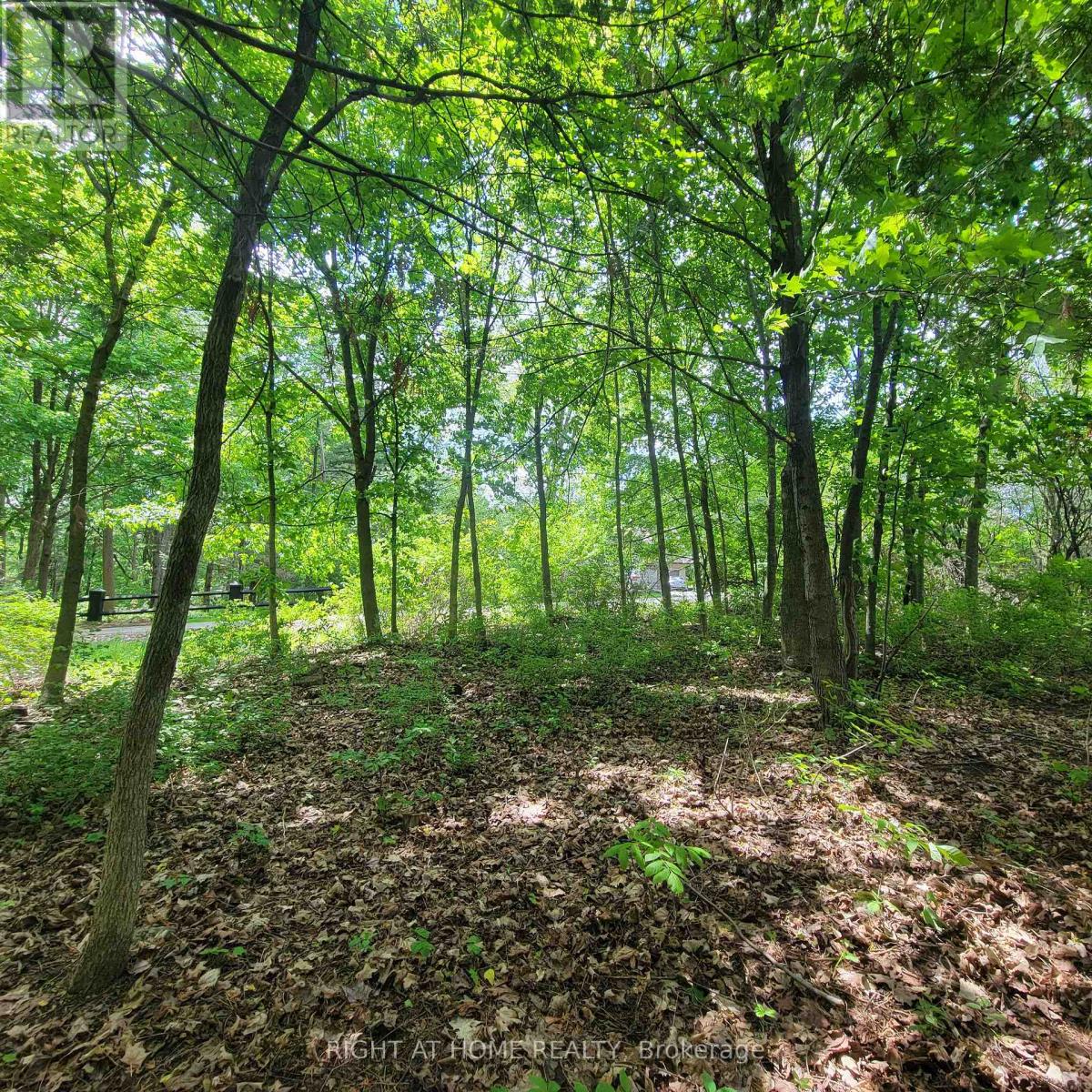 7 Beckenham Lane, Ottawa, Ontario  K1J 7J4 - Photo 7 - X13807486