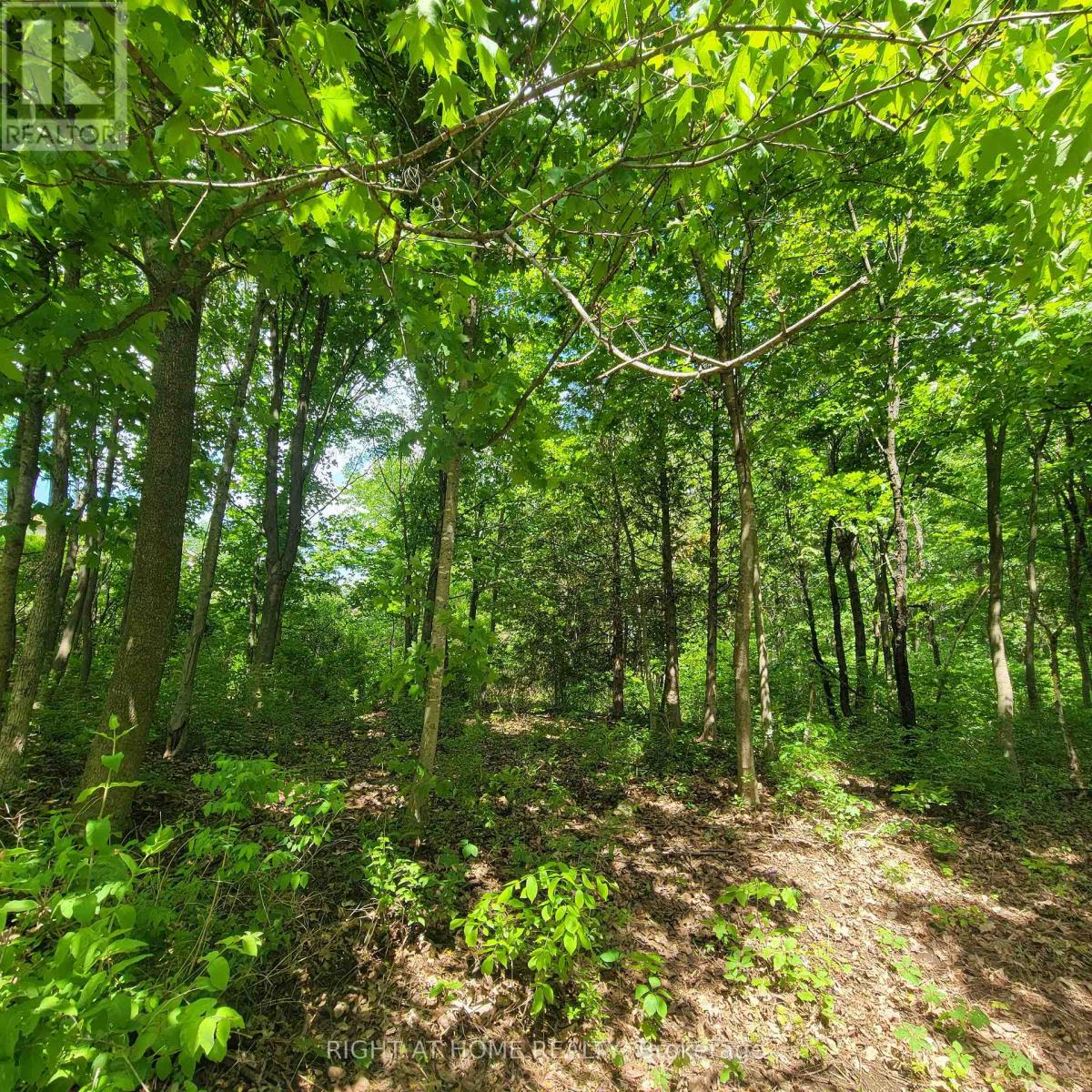 7 Beckenham Lane, Ottawa, Ontario  K1J 7J4 - Photo 9 - X13807486
