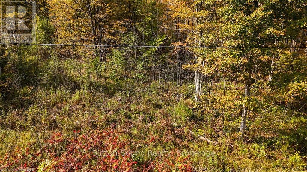 Pt Lt 25 Conc 16 Grey Road 17, Georgian Bluffs, Ontario  N0H 2T0 - Photo 27 - X10846397