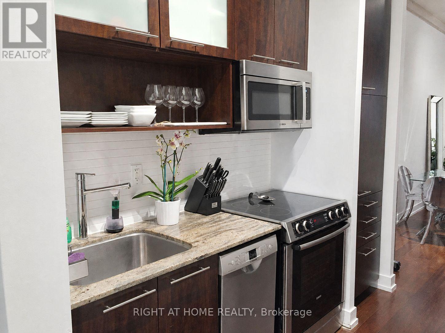 207 - 66 Portland Street, Toronto, Ontario  M5V 2M6 - Photo 10 - C13807718
