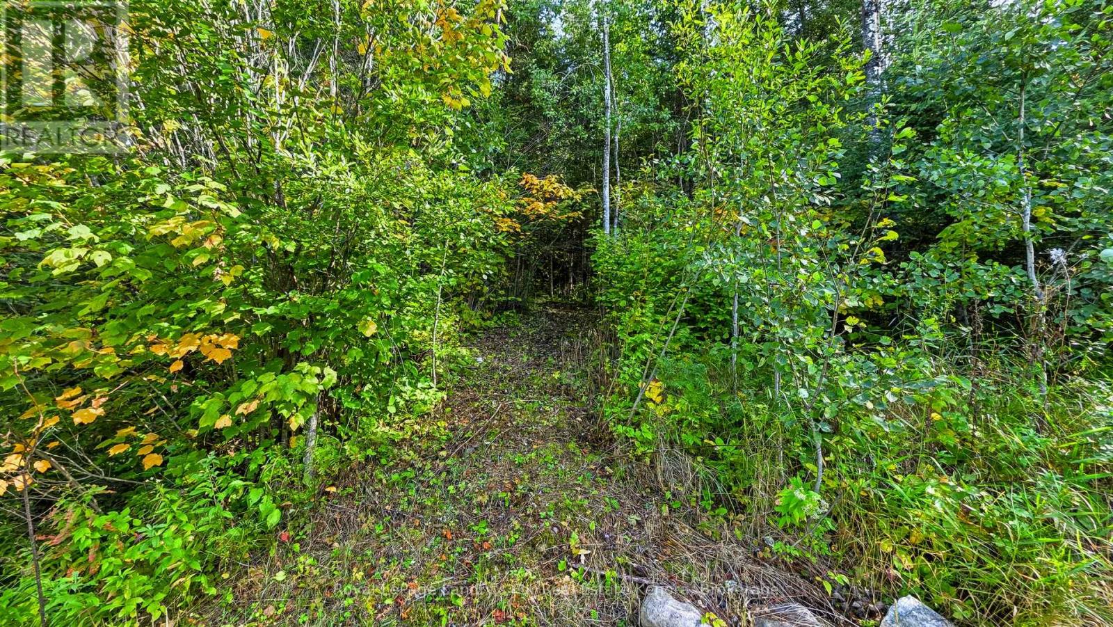 475 Essex Road, Kenora, Ontario  P9N 4N8 - Photo 20 - X13807838