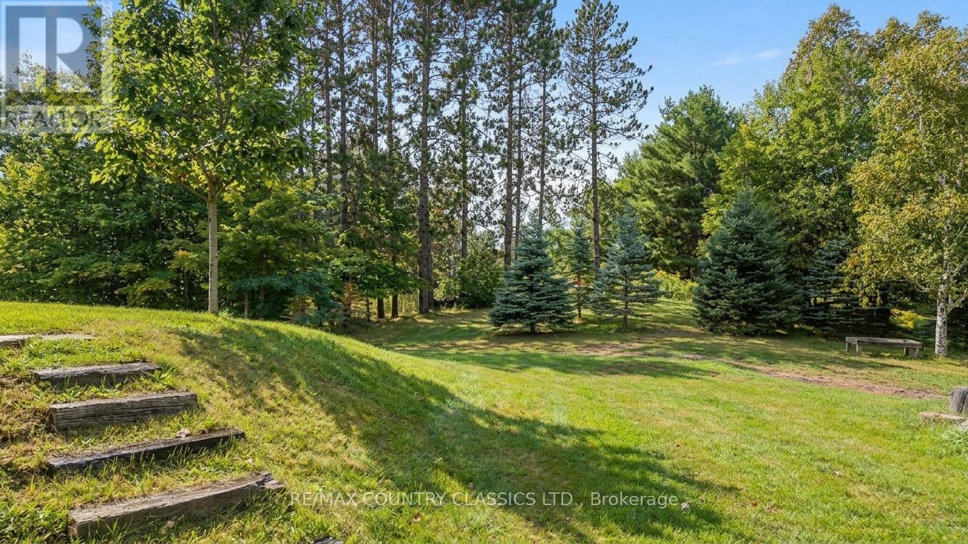 41 Old L'amable Road, Bancroft, Ontario  K0L 2L0 - Photo 39 - X13807854