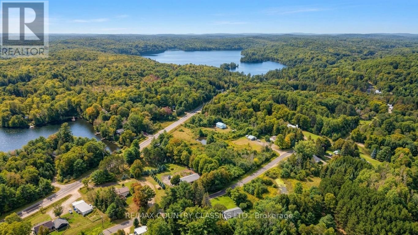 41 Old L'amable Road, Bancroft, Ontario  K0L 2L0 - Photo 46 - X13807854