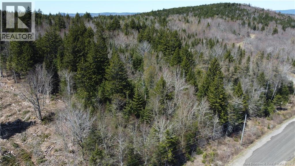 Highland Road, Grand Bay-Westfield, New Brunswick E5K 1K1 - Photo 6 - NB148227