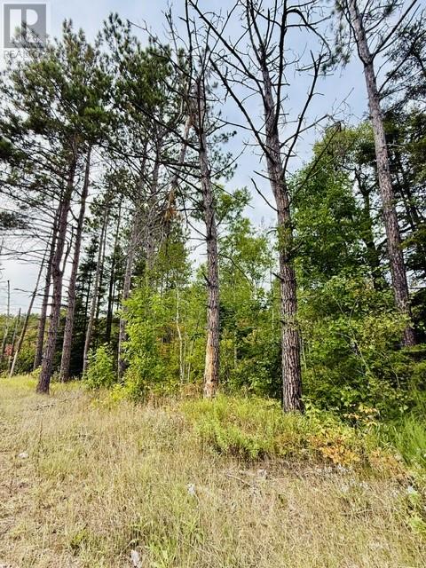Pt Lot 8 Pcl 14599a Highway 17 East, Massey, Ontario  P0P 1P0 - Photo 12 - 2130463
