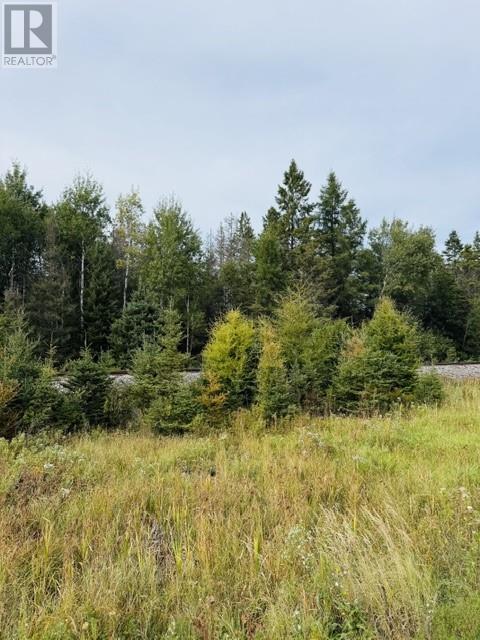 Pt Lot 8 Pcl 14599a Highway 17 East, Massey, Ontario  P0P 1P0 - Photo 3 - 2130463