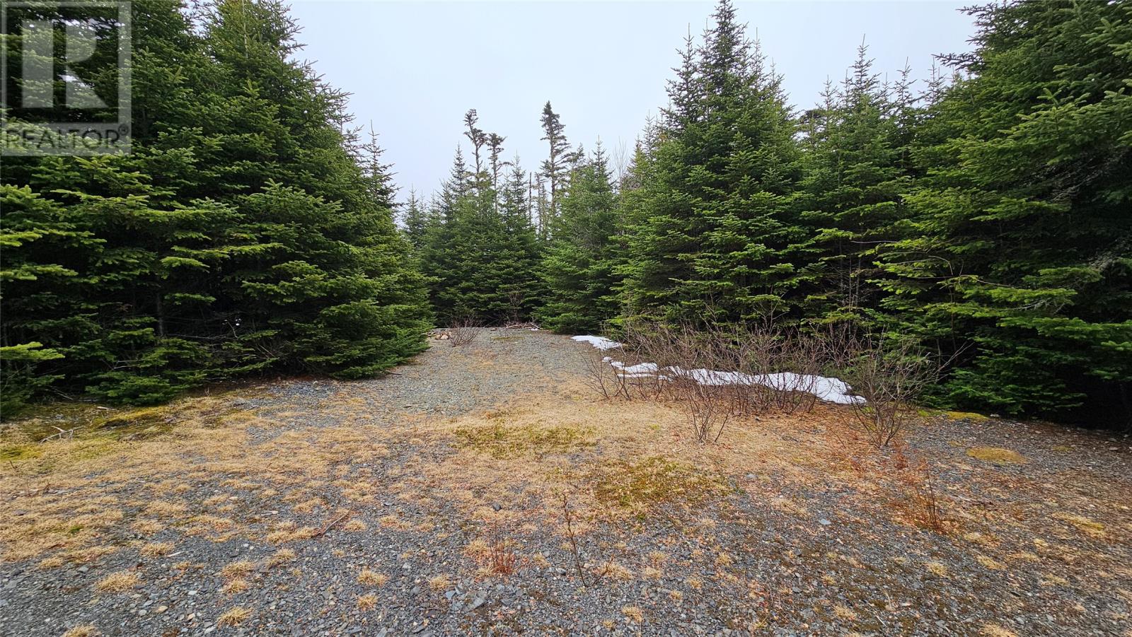 0 Trans Canada Highway, Goobies — photo 5