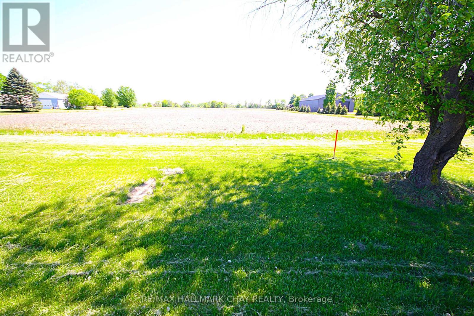 Lot 1 Smith Road, Essa, Ontario  L0M 1T0 - Photo 4 - N13232614