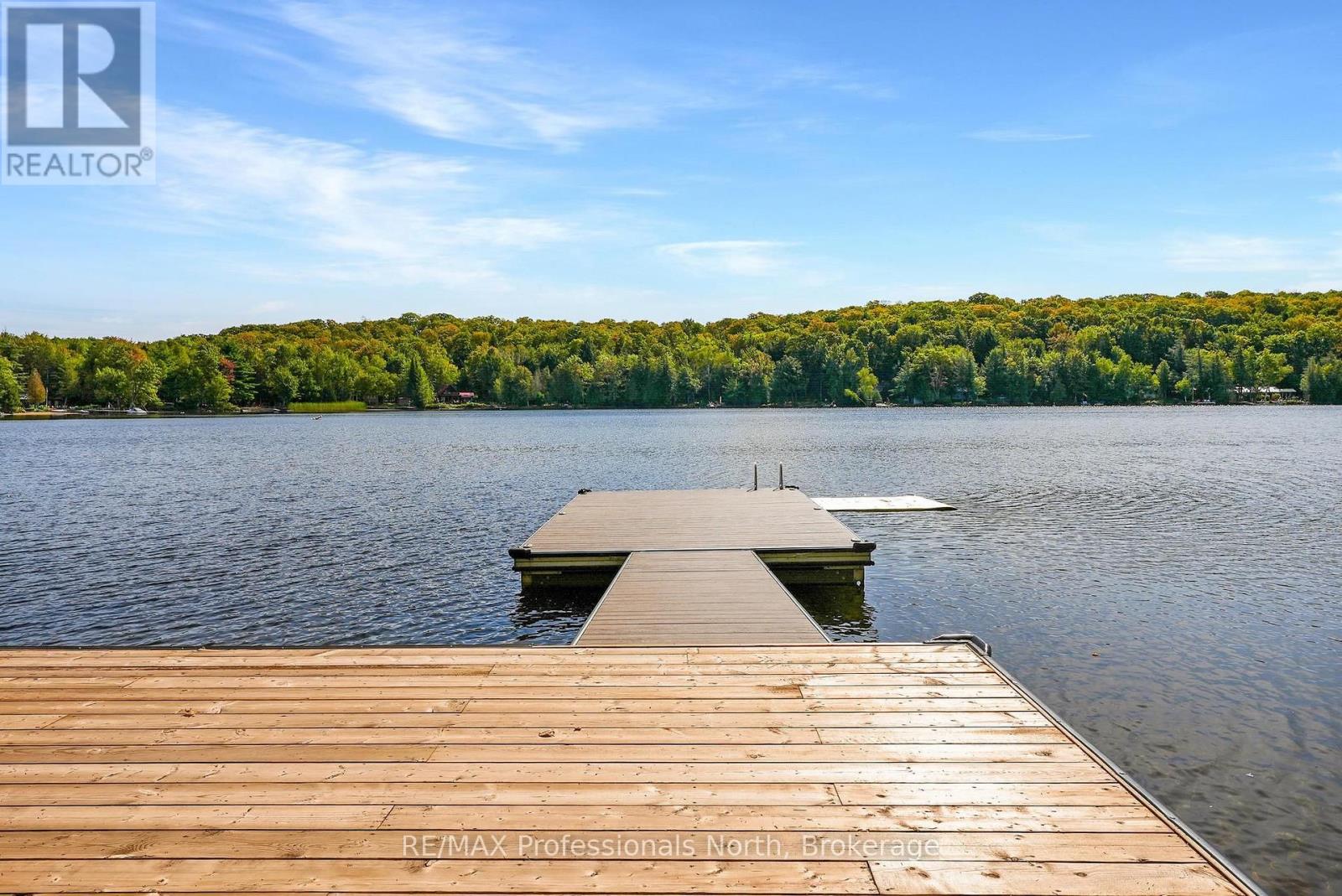 1025 Canfield Lane, Minden Hills, Ontario  K0M 2K0 - Photo 44 - X13807334