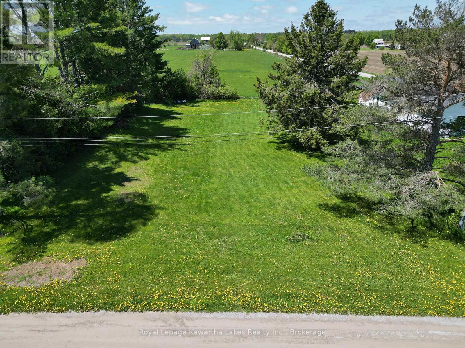 8 Fulsom Crescent, Kawartha Lakes, Ontario  L3V 0H5 - Photo 4 - X13808162