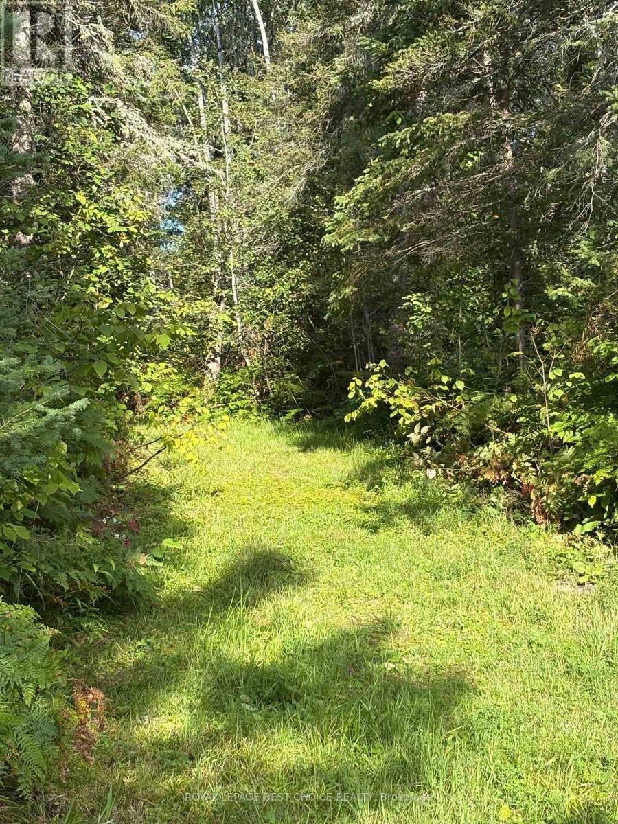 234389 Wendigo Lake Road, Englehart, Ontario  P0J 1H0 - Photo 21 - T13808130