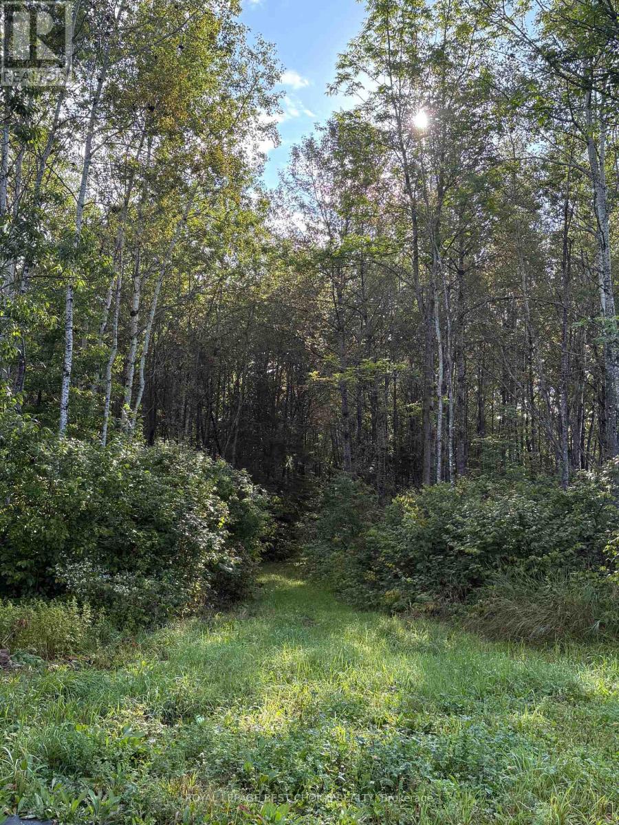 234389 Wendigo Lake Road, Englehart, Ontario  P0J 1H0 - Photo 22 - T13808130