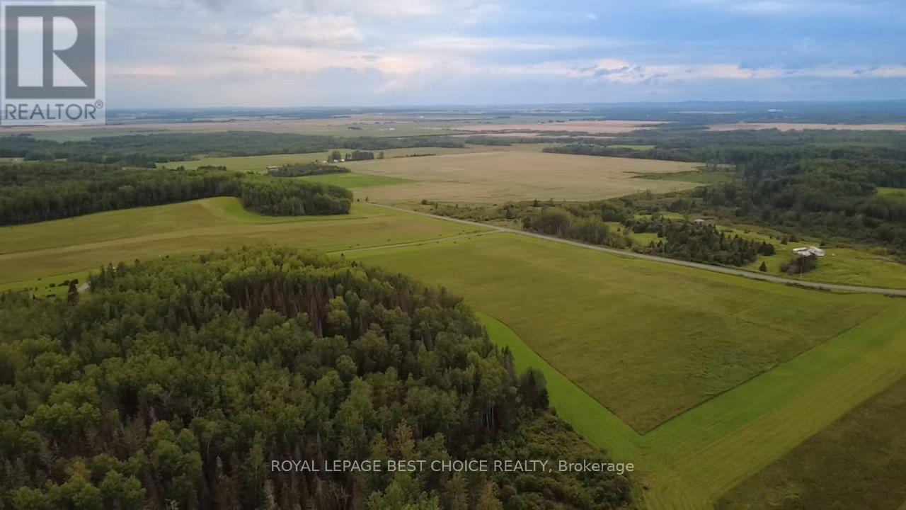 234389 Wendigo Lake Road, Englehart, Ontario  P0J 1H0 - Photo 5 - T13808130