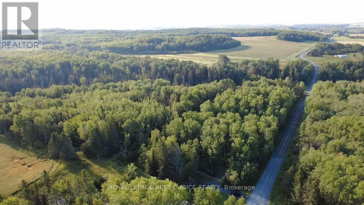 234389 Wendigo Lake Road, Englehart, Ontario  P0J 1H0 - Photo 9 - T13808130