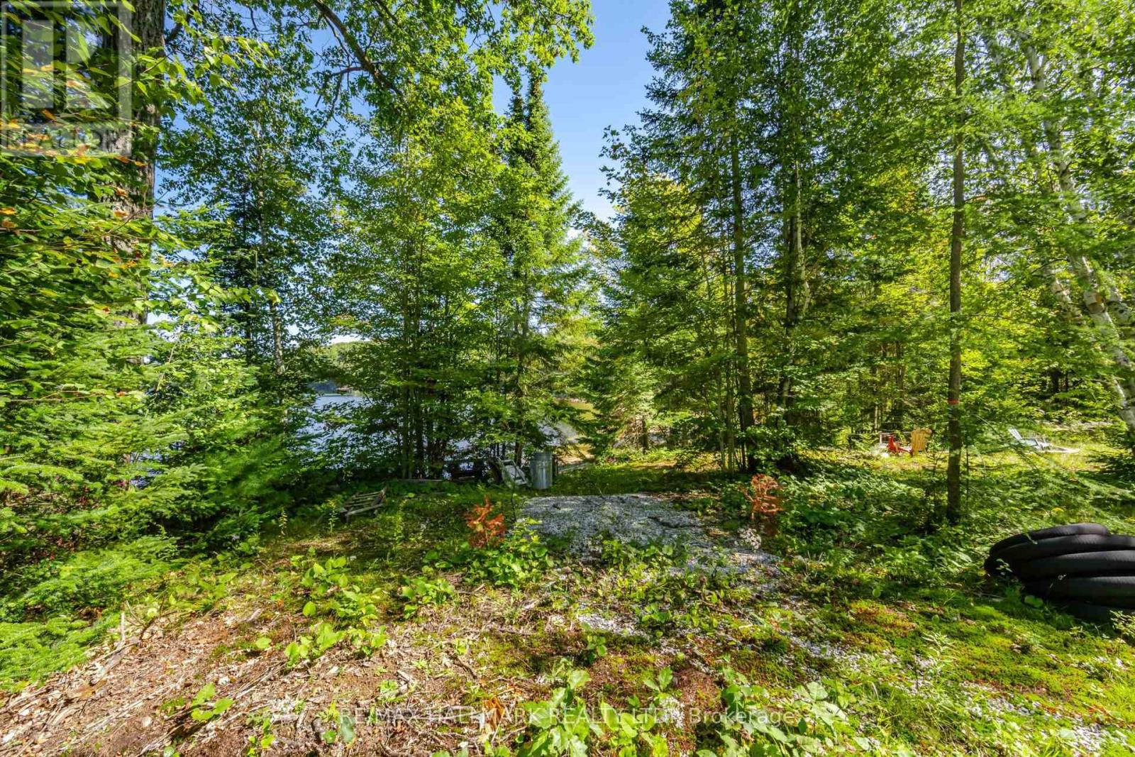 17000 Hwy 35, Algonquin Highlands, Ontario  K0M 1S0 - Photo 19 - X13808164