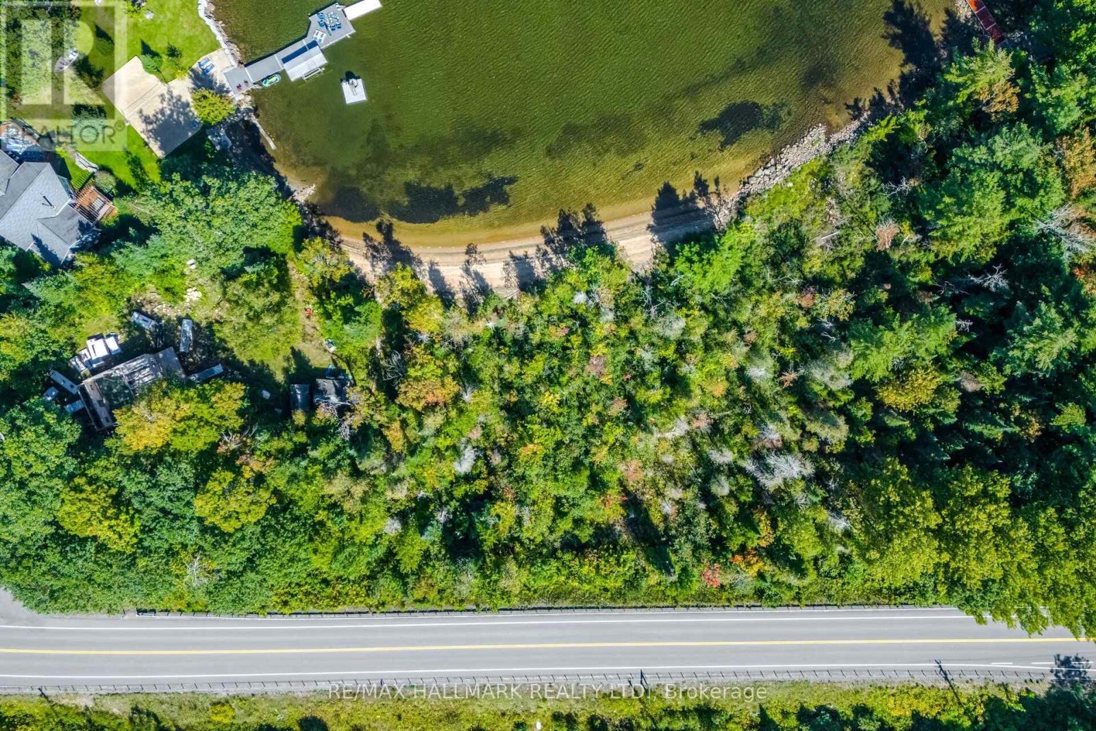 17000 Hwy 35, Algonquin Highlands, Ontario  K0M 1S0 - Photo 8 - X13808164