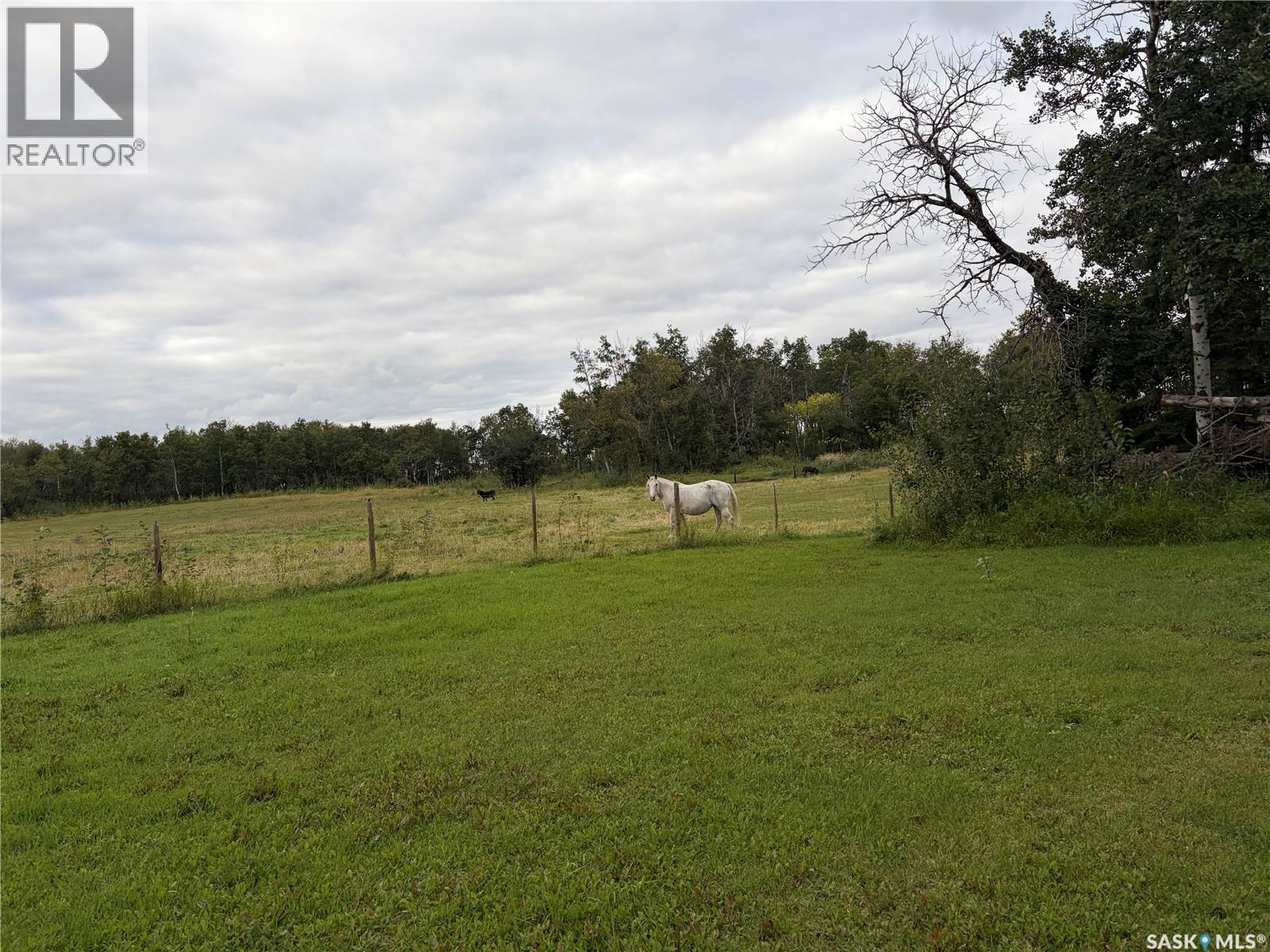 Fleming Acreage, Lakeview Rm No. 337, Saskatchewan  S0E 0X0 - Photo 43 - SK048741