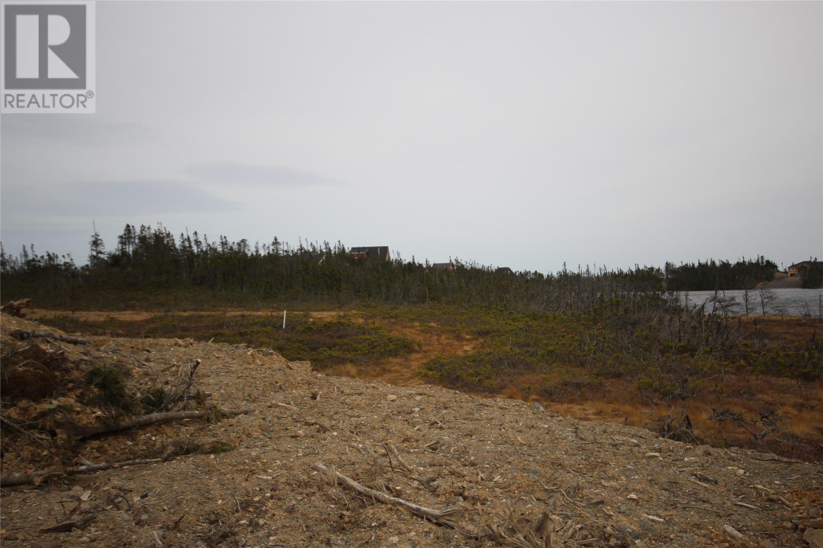 62a Inner Pond North Road, Ocean Pond, Newfoundland & Labrador  A0B 3K0 - Photo 4 - 1303448